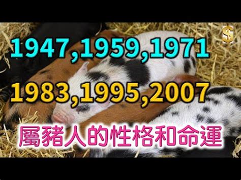 水豬命格|【1983五行屬什麼】1983年生肖屬豬的命運如何？今年五行屬什麼？